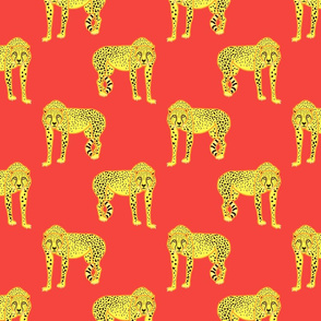 Wild Cheetahs! - coral red, medium 