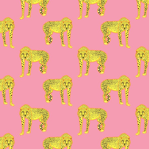 Wild Cheetahs! - cotton candy pink, medium 