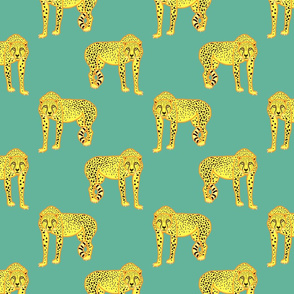 Wild Cheetahs! - steel green, medium 
