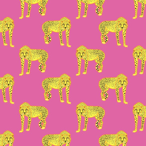 Wild Cheetahs! - magenta pink, medium 