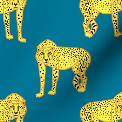 Wild Cheetahs! - teal blue, medium 