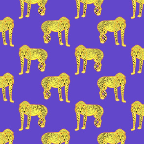 Wild Cheetahs! - violet purple, medium 