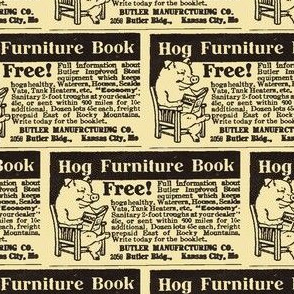 1915 ad for Hog Furniture 