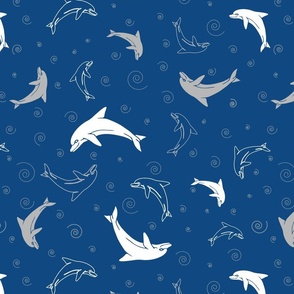 Playing Dolphins