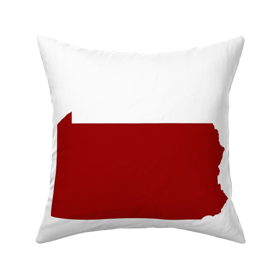 HOME_GOOD_SQUARE_THROW_PILLOW