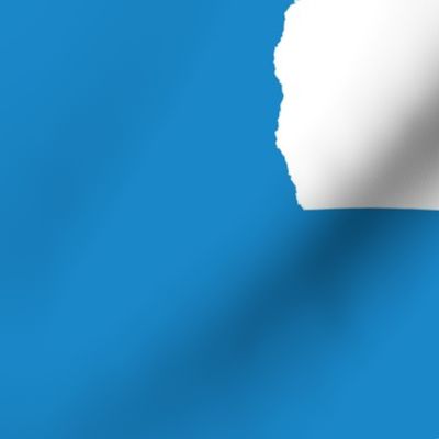 Georgia silhouette in 18" square - white on bright cyan blue
