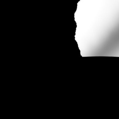 Georgia silhouette in 18" square - white on black