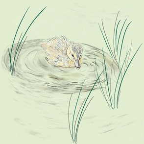 Duckling Swims in Puddle, pale green