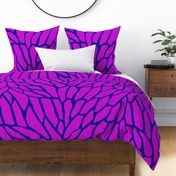 butterfly wing in vivid purple  and navy blue