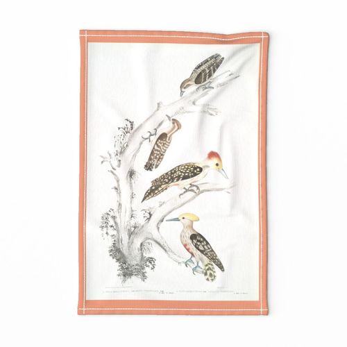 HOME_GOOD_TEA_TOWEL