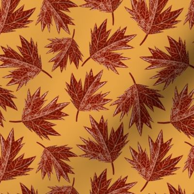 Autumn Maple Leaves