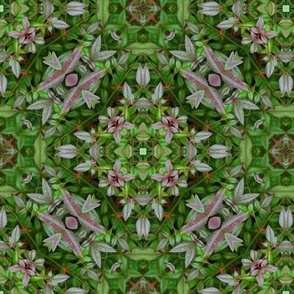 Nandina intricate mandala, kaleidoscope, green, purple