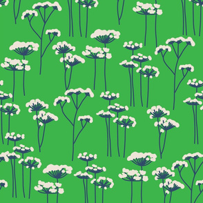 Cow parsley