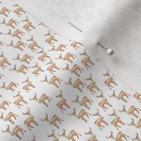 Cute reindeer / tiny / festive watercolor reindeer in brown on white for a boho chirstmas