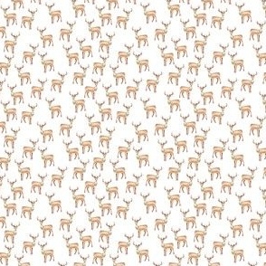 Cute reindeer / tiny / festive watercolor reindeer in brown on white for a boho chirstmas