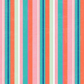 Multicolour Stripes-nanditasingh