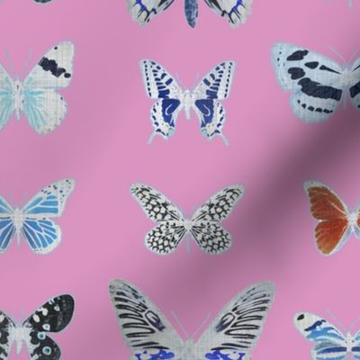 The Butterflies - Modern 