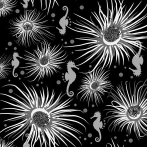 anemone and seahorses_BW_black background