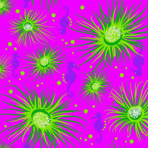 anemone and seahorses_fuxia background