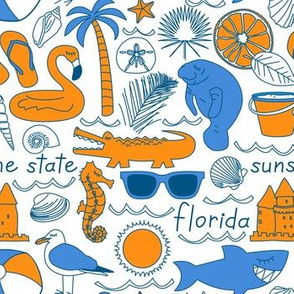 blue and orange Florida