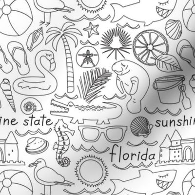 Florida items outline