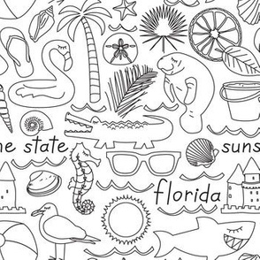 Florida items outline