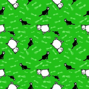 Counting Sheep, Cats  and Stars Small Lime