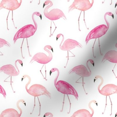 Hot pink and peach watercolor flamingos on white for tropical kids. Fun summer swimwear and dresses