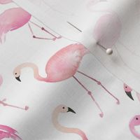 Hot pink and peach watercolor flamingos on white for tropical kids. Fun summer swimwear and dresses