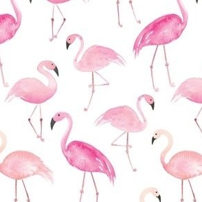 Hot pink and peach watercolor flamingos on white for tropical kids. Fun summer swimwear and dresses