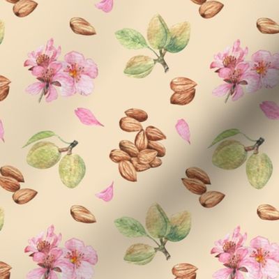 Almond nuts and flowers on beige