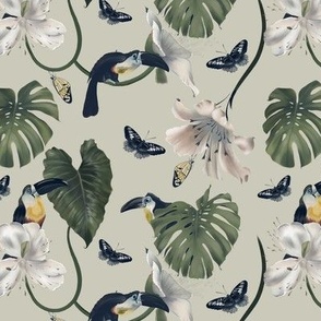 Three funny toucans and butterflies