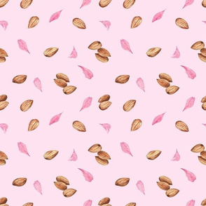 Almond nuts and petals on pink