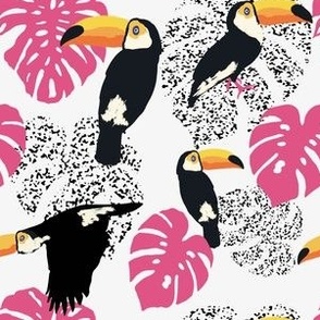 Pink and Black Toucan