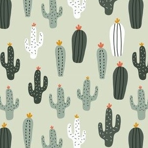 Cactus Assortment