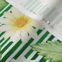 Daisies and Green Stripes