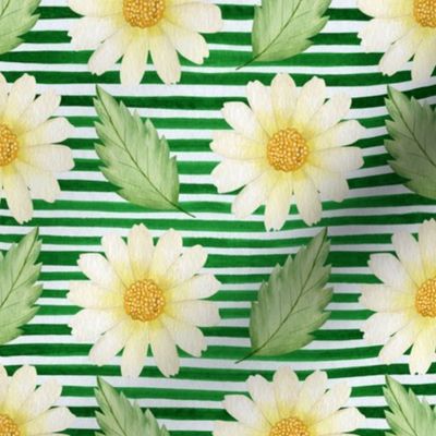 Daisies and Green Stripes