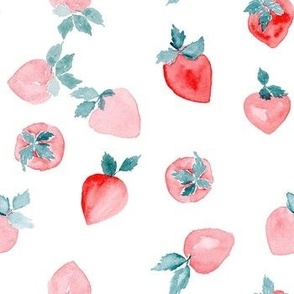 Watercolor Strawberries 7 inch