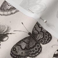 A Moth, Butterflies and Bees