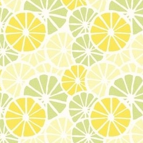 Lemon and Lime Citrus Slices