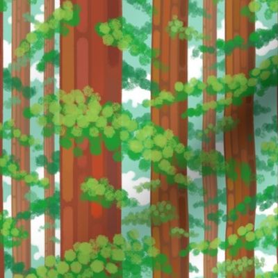 Redwood Forest: Airy