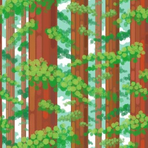 Redwood Forest: Airy