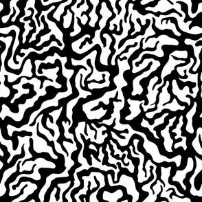 River Network Pattern (Black and White)