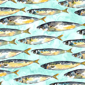 Mackerel fish large with blue watercolor background