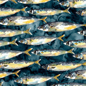 Mackerel fish large with navy watercolor background 