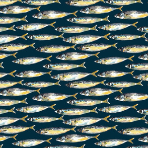 Mackerel fish navy