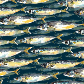 mackerel fish with background large navy