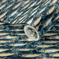 Mackerel fish with navy watercolor background 