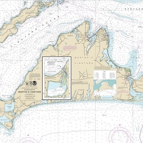 Martha's Vineyard nautical map