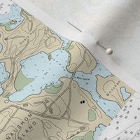 Woods Hole Cape Cod nautical map